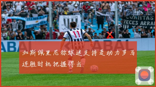 加斯佩里尼称球迷支持是动力罗马连胜时机把握得当