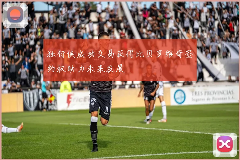 独行侠成功交易获得比贝罗维奇签约权助力未来发展